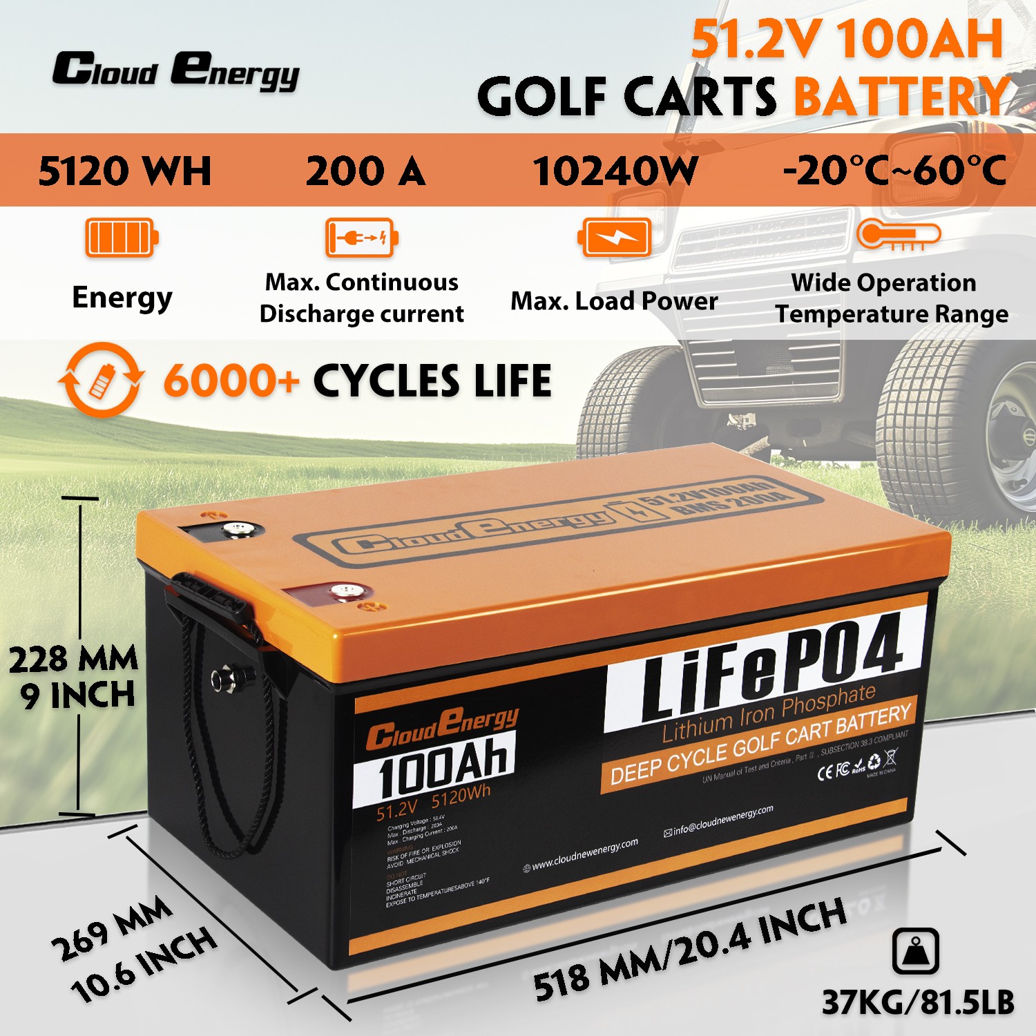 48V (51.2V) 100Ah LiFePO4 Golf Cart Battery